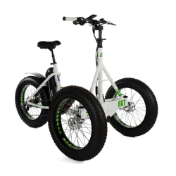Tricycle fat bike