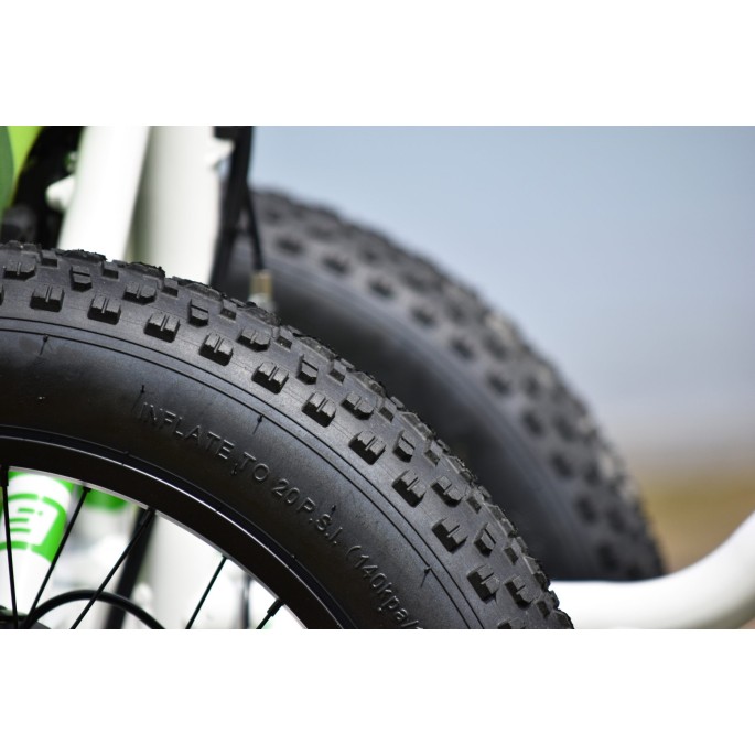 Tricycle Adulte Fat bike électrique 2 roues avant Etnnic fat 2.0