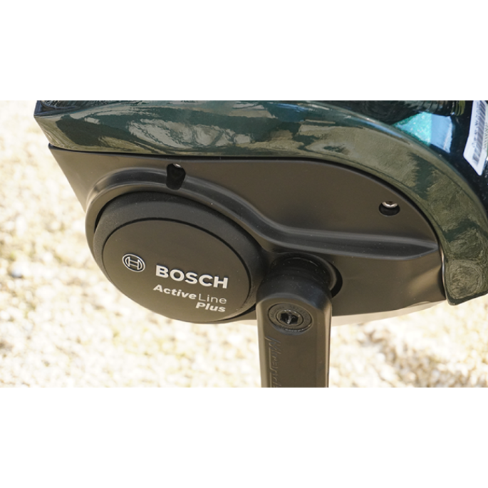 VTC électrique tbird Carmel s femme| Velonline