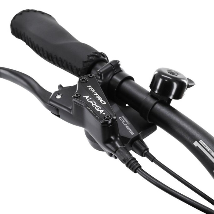 Biporteur Electrique - Leader fox Velo -E-BIKE FAMILY ONE