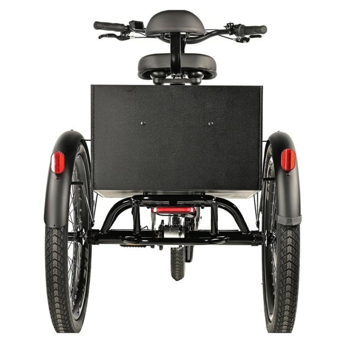 Tricycle électrique adulte Lovelo : 24 pouces - Velonline