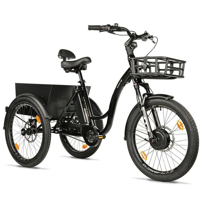 Tricycle électrique adulte Leaderfox Curtis