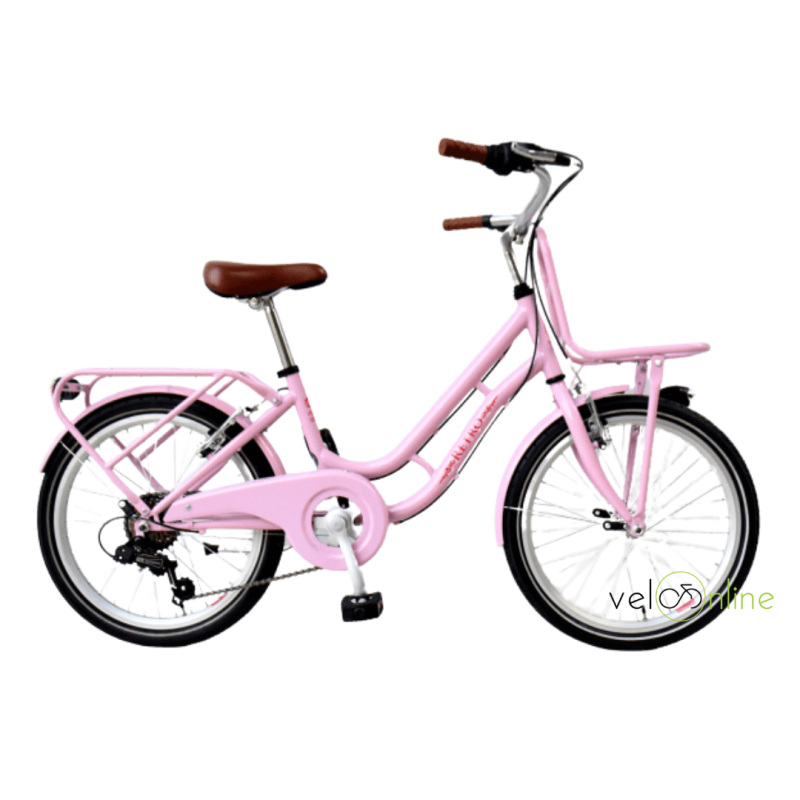 Vélo fille Rétro 20/22 pouces vélo hollandais enfant
