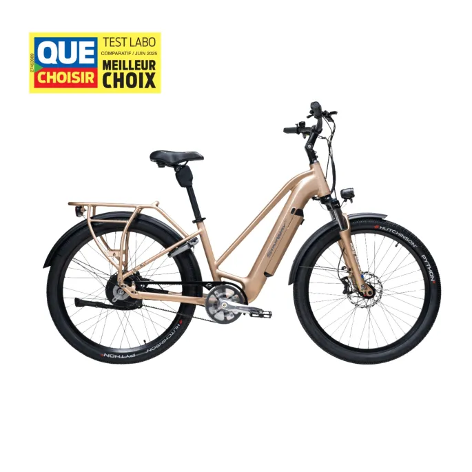 Vélo électrique Starway SUV