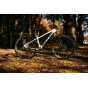 Prim S2 - Sunn VTT Carbone