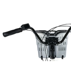 tricycle Electrique adulte leaderfox bormio