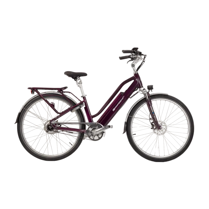 Vélo électrique Starway Grand Touring
