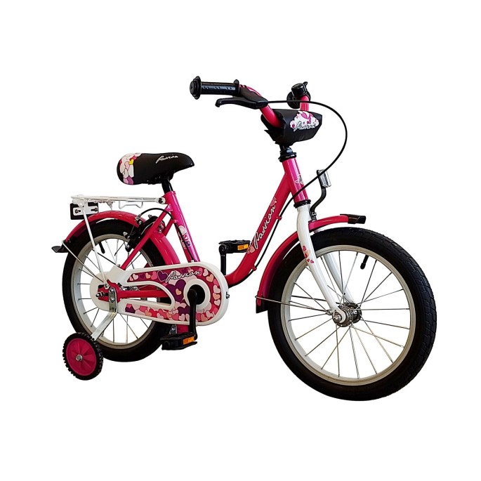 Vélo enfant 16 pouces Trike : modèle fille - Velonline