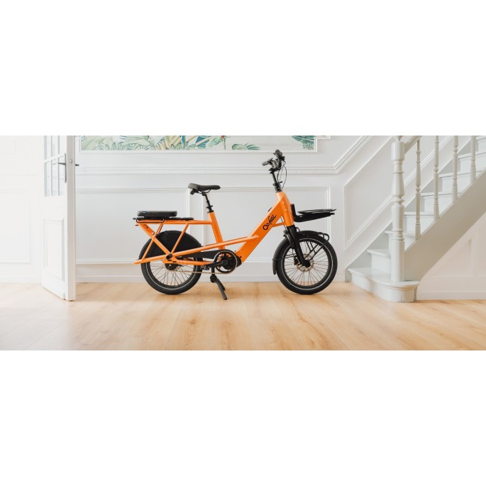 O2 feel Buzz 7 E Bikes - Velo cargo biplace