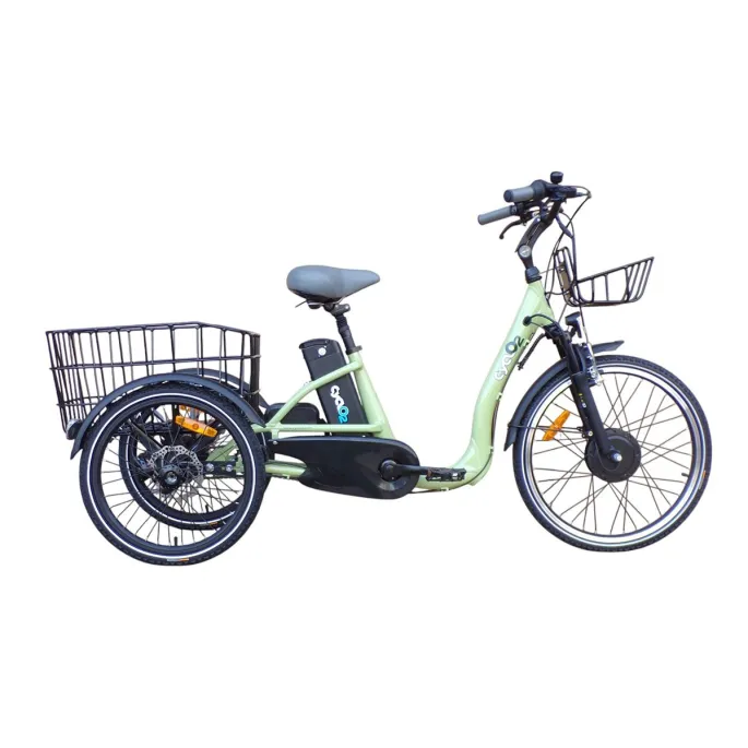 Tricycle électrique Cyclo2 Comfort 24+ - Cyclo2 | Velonline