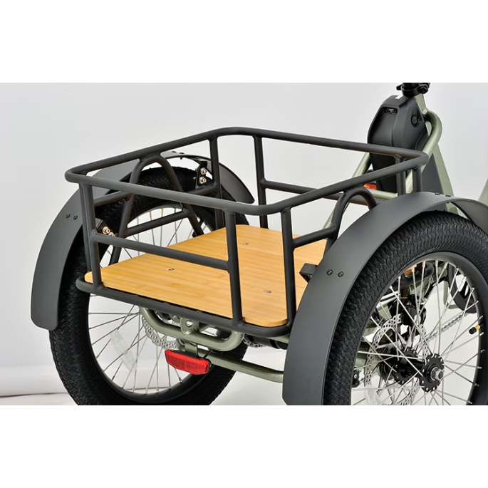 tricycle Electrique adulte Mover T1 - Revom