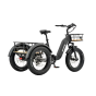 tricycle Electrique adulte Mover T2 - Revom