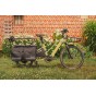 Vélo longtail O2feel CARGO EQUO Adventure 5.1 | Velonline