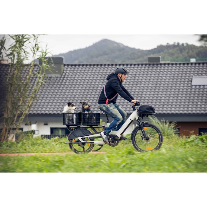 Vélo électrique Longtail Monty V4 rover| Velonline