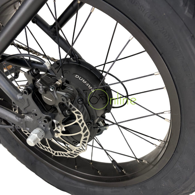 Lombardo Aurelia| Velonline