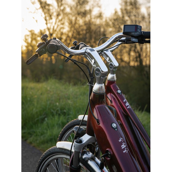 Vélo électrique Starway Urban 2