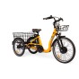 Tricycle électrique Cyclo2 Comfort 24+ - Cyclo2 | Velonline