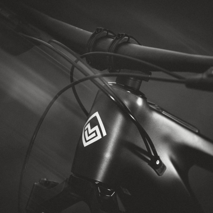 Megamo Ryal 10 - VTT électrique enduro DJI 110 Nm | Velonline
