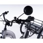 Damius Essentiel - Tricycle électrique adulte | Velonline