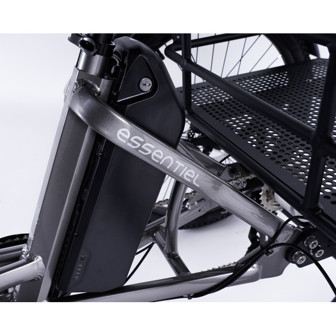 Damius Essentiel - Tricycle électrique adulte | Velonline
