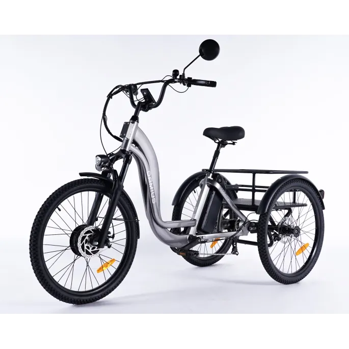 Damius Essentiel - Tricycle électrique adulte | Velonline