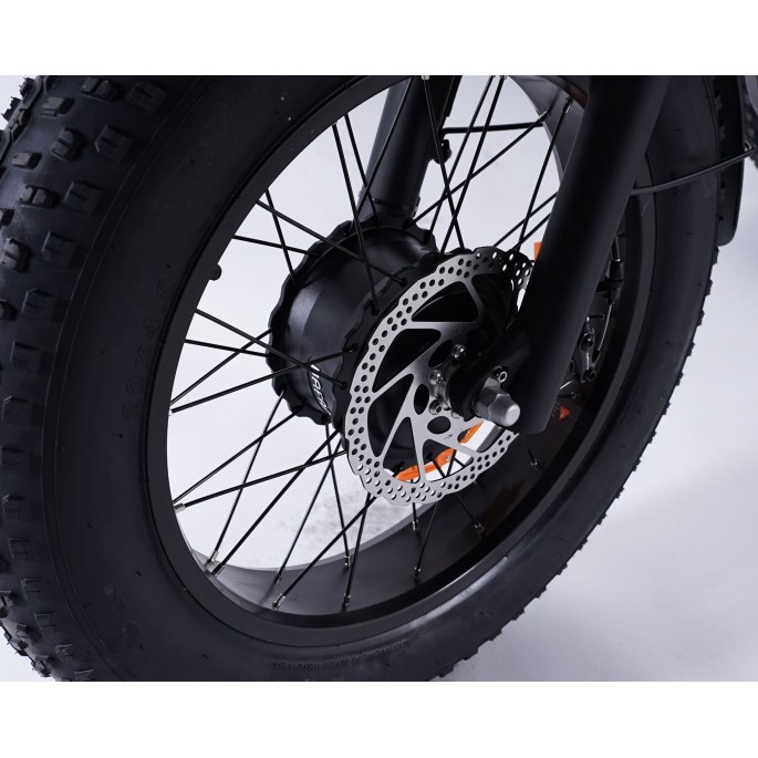 Damius Essentiel FatBike - Tricycle électrique | Velonline