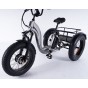 Damius Essentiel FatBike - Tricycle électrique | Velonline
