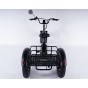 Damius Essentiel FatBike - Tricycle électrique | Velonline