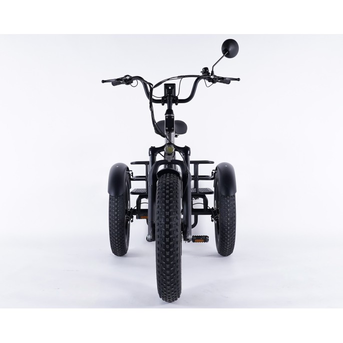 Damius Essentiel FatBike - Tricycle électrique | Velonline