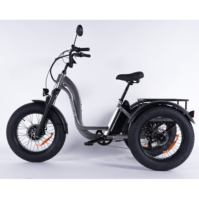 Damius Essentiel FatBike - Tricycle électrique | Velonline