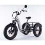 Damius Essentiel FatBike - Tricycle électrique | Velonline