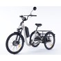 Damius Evasion - Tricycle électrique adulte | Velonline