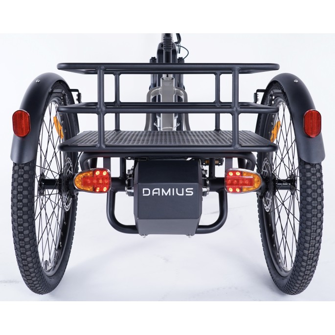 Damius Evasion EVO