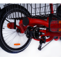 Damius Evasion Moteur Pédalier - Tricycle électrique | Velonline