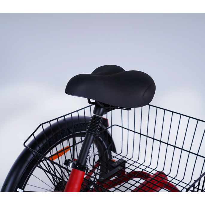 Damius Evasion Moteur Pédalier - Tricycle électrique | Velonline