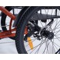 Damius Essentiel Musculaire - Tricycle adulte | Velonline