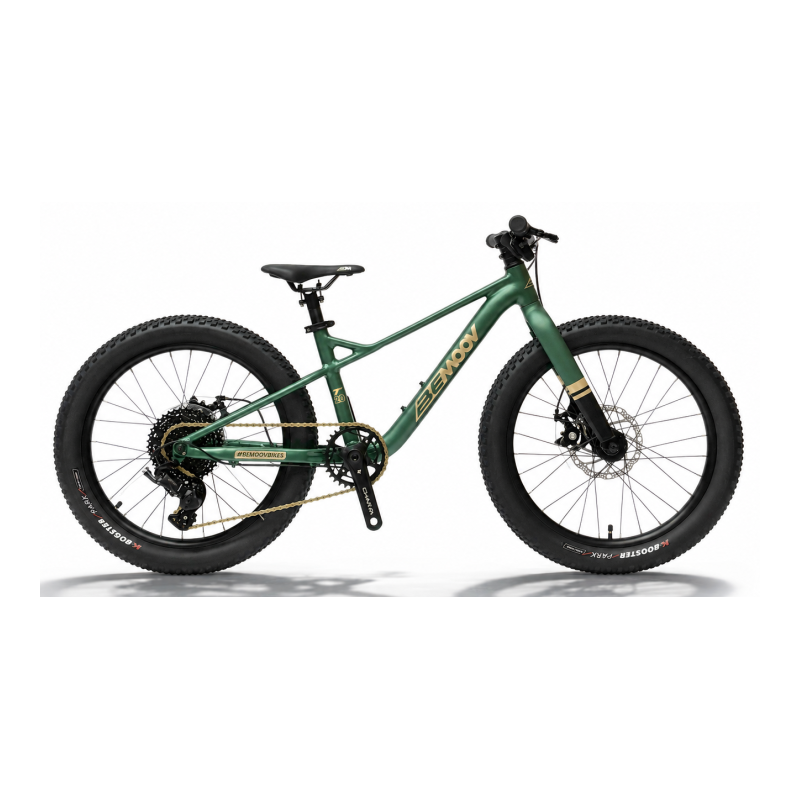 BeMoov T20 - VTT enfant 20 pouces très léger | Velonline